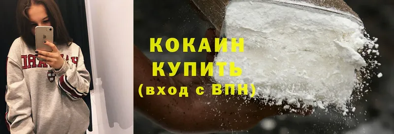 Cocaine FishScale  закладка  Железногорск 